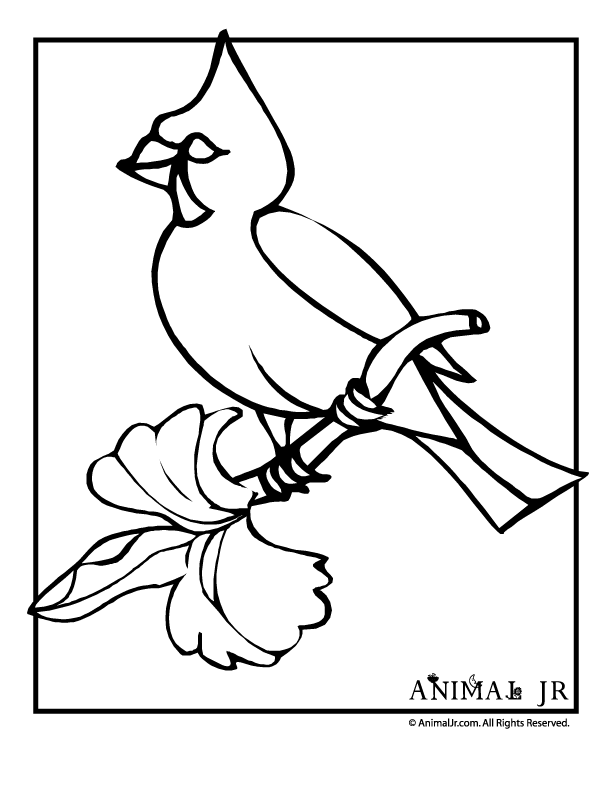 Coloring pages