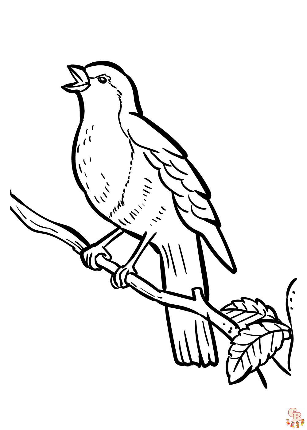 Get creative with robin coloring pages