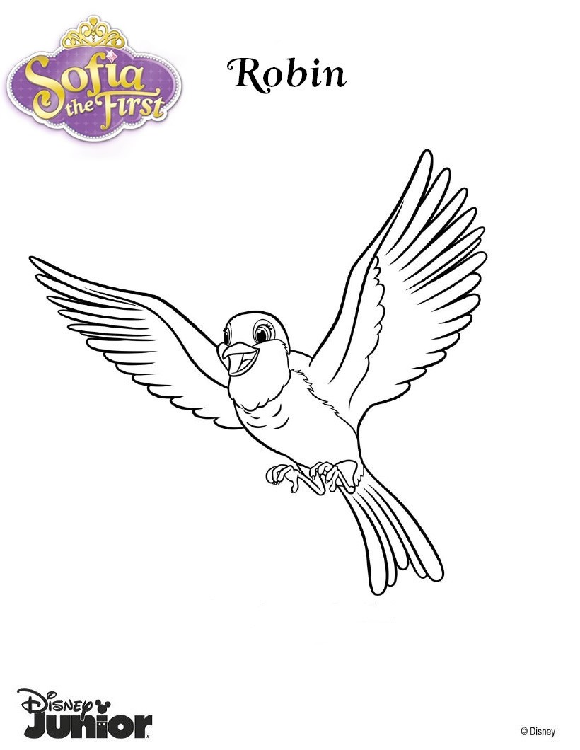 Robin the pigeon coloring pages