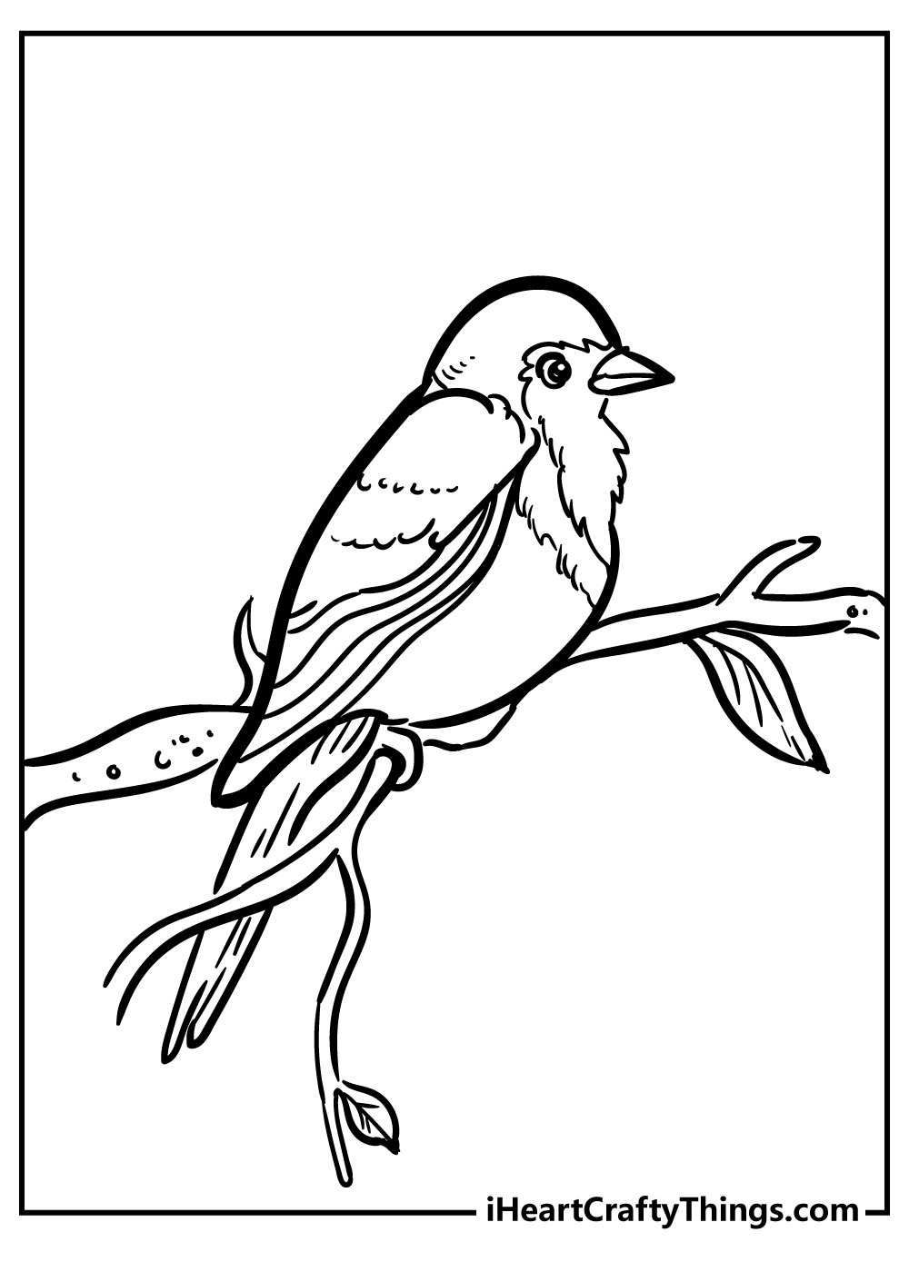 Robin coloring pages free printables