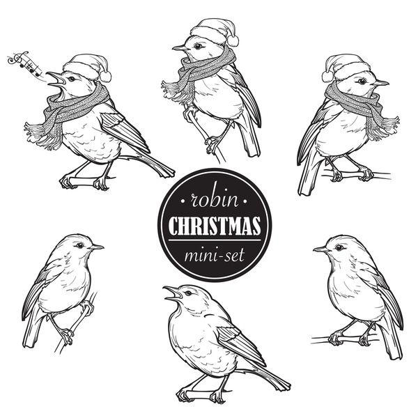 Hundred christmas robin sketch royalty