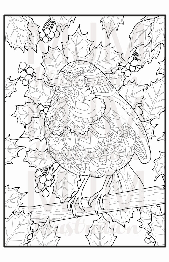 Printable decorative robin red breast instant download adult colouring page