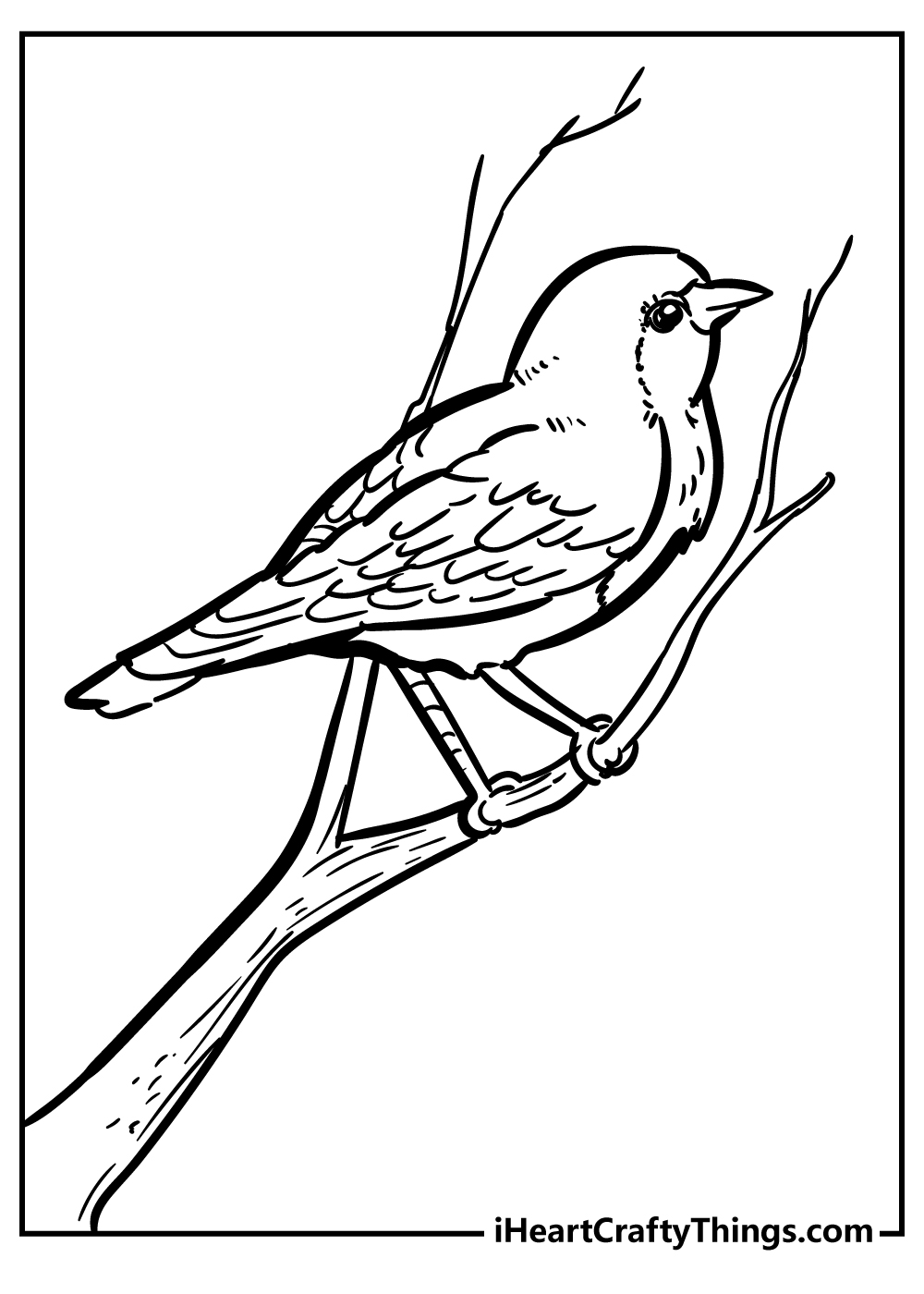 Robin coloring pages free printables