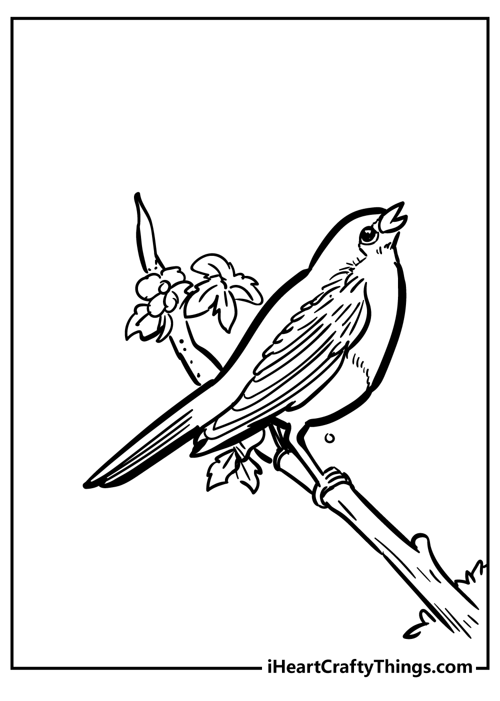 Robin coloring pages free printables