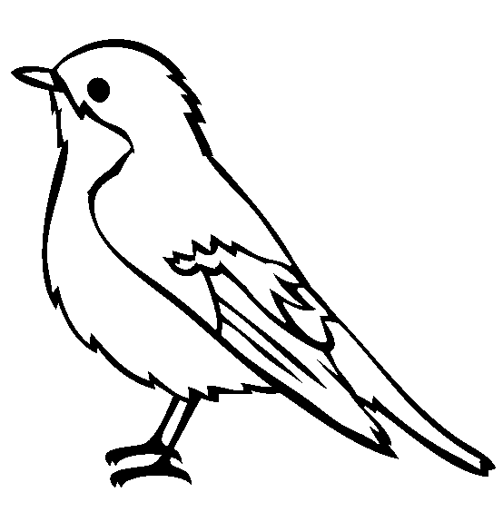 Robin coloring pages