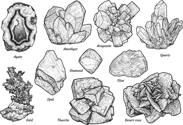 Mineral collection illustration drawing engraving ink line art vector stock illustration