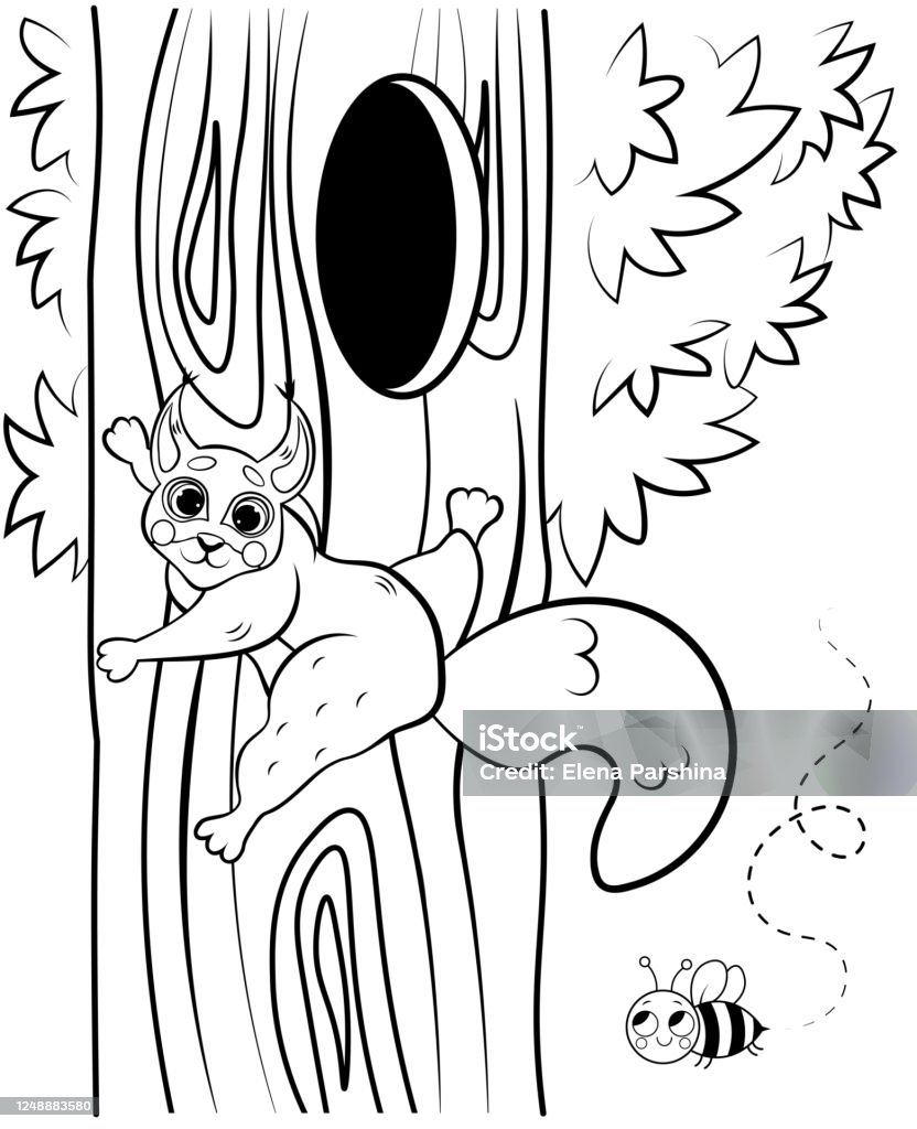 Printable coloring page outline of cute cartoon squirrel climbing on tree near the hollow vector image with forest background coloring book of forest wild animals for kids stock illustration