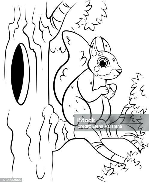 Printable coloring page outline of cute cartoon squirrel climbing on tree near the hollow vector image with forest background coloring book of forest wild animals for kids stock illustration