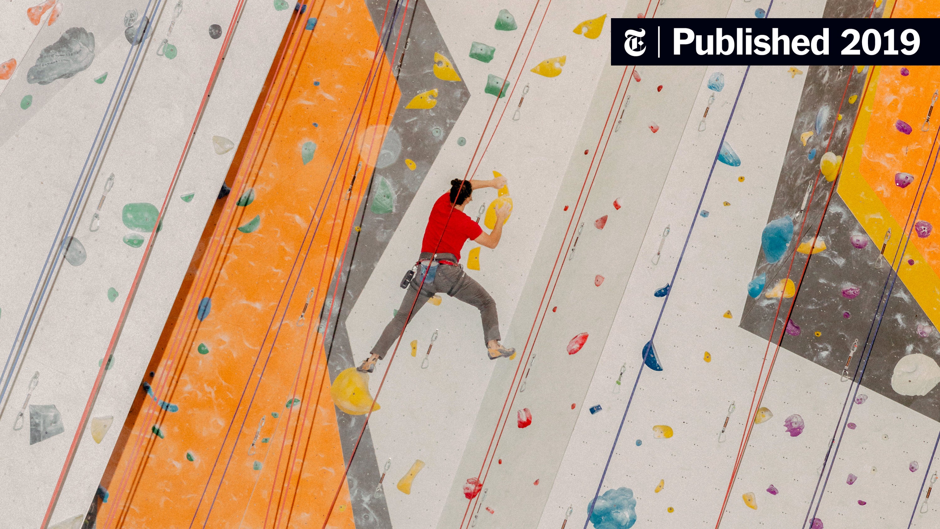 Social climbing has a whole new meaning