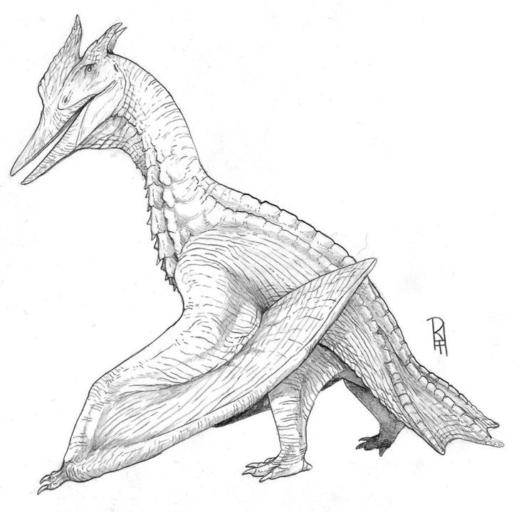 Image result for quetzalcoatlus rodan godzilla rodan coloring pages