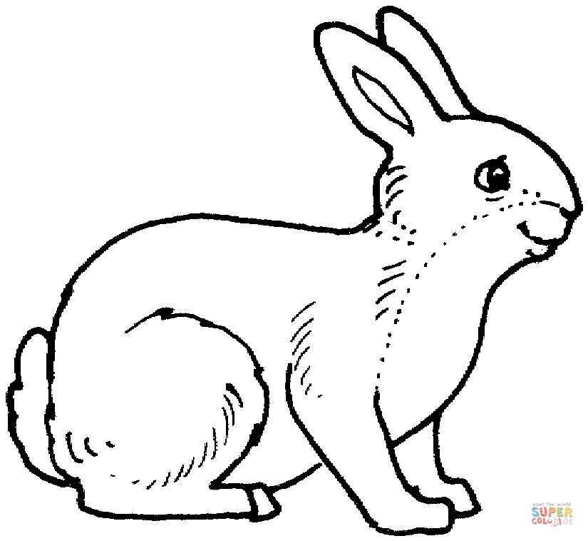 Rabbit coloring page free printable coloring pages