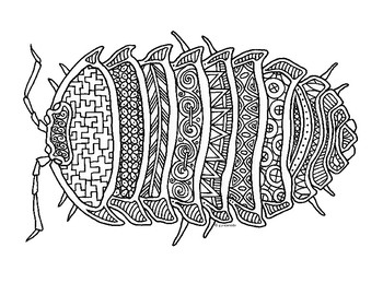 Roly poly pillbug insect zentangle coloring page by pamela kennedy