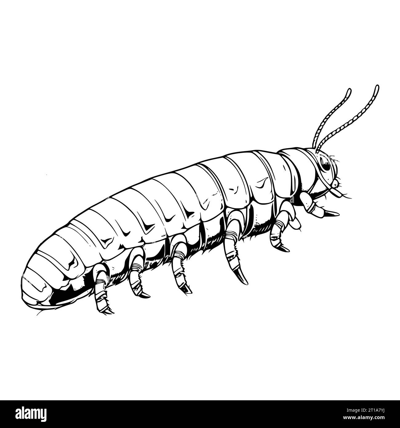 Worm coloring page printable black and white stock photos images