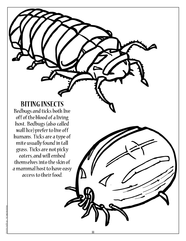 Pest control imprint coloring book