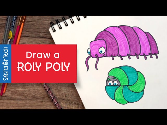 Sketchin tech learn to draw a roly poly