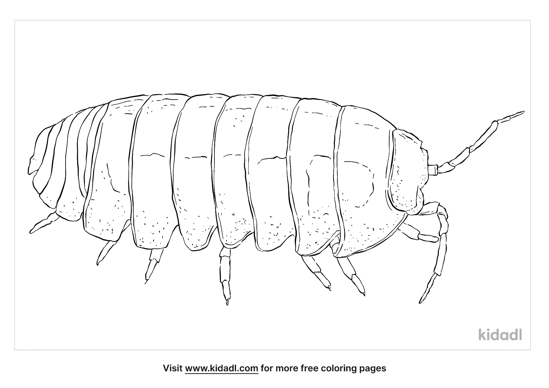 Free pill bug coloring page coloring page printables