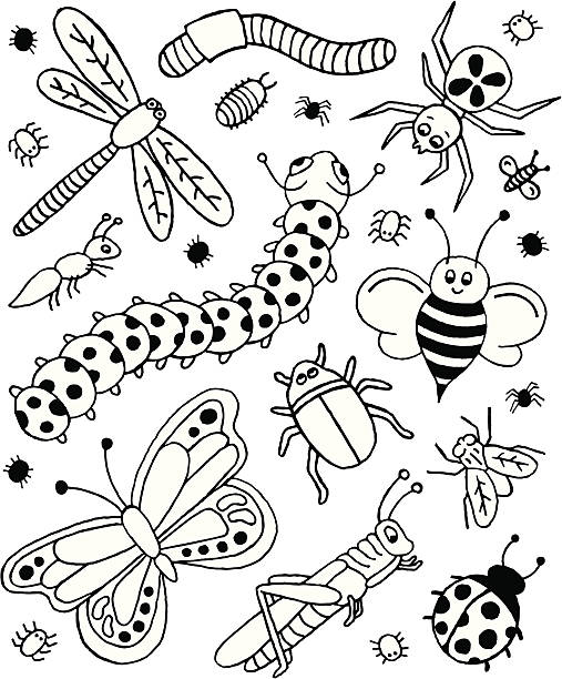 Roly poly stock illustrations royalty