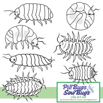 Roly poly pill bug and sow bug clip art set by christine obrien creative