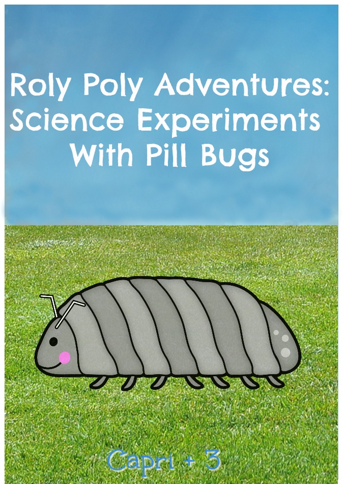 Roly poly adventures science experiments with pill bugs