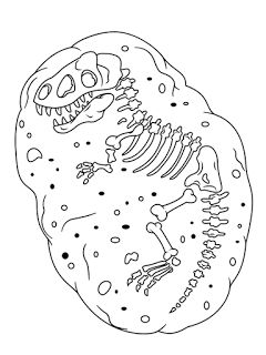 Recursos y actividades pa educaciãn infantil dibujos de fãsiles de dinosaurios pa imprimir fãsiles de dinosaurios esqueleto dinosaurio dinosaurios