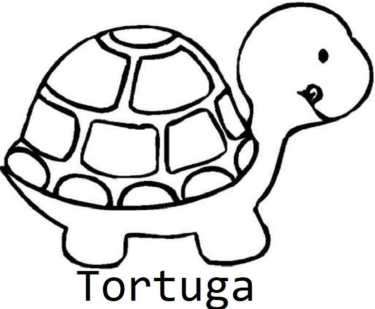 Tortuga ninja