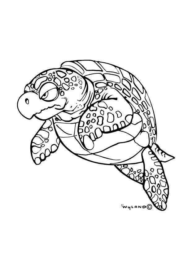 Dibujo para colorear tortuga marina