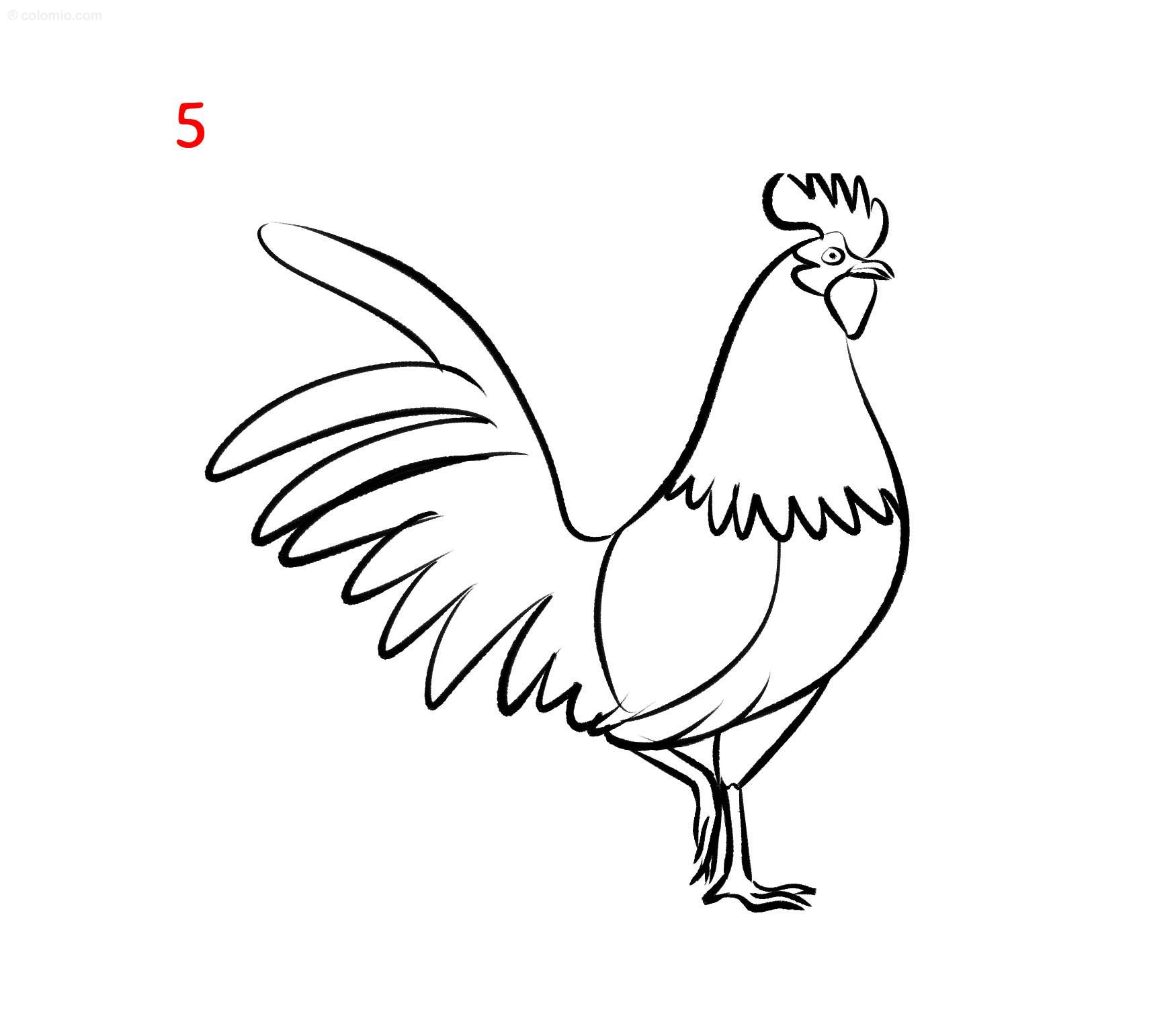 Rooster drawing â how to draw a rooster step by step