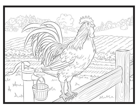 Rooster single coloring page instant download