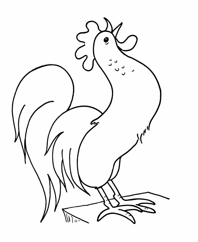 Learning years rooster coloring page