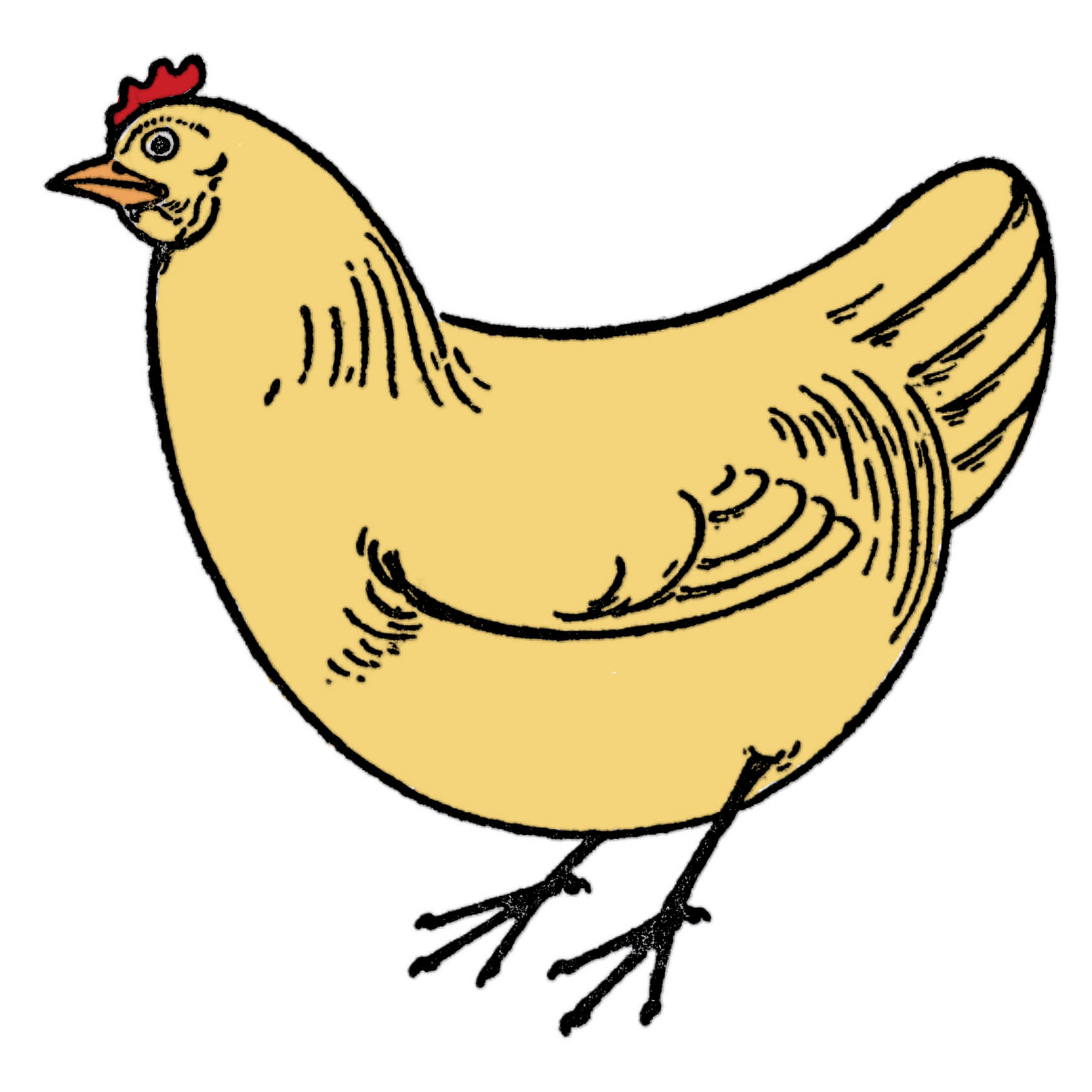 Draw a chicken easy simple steps