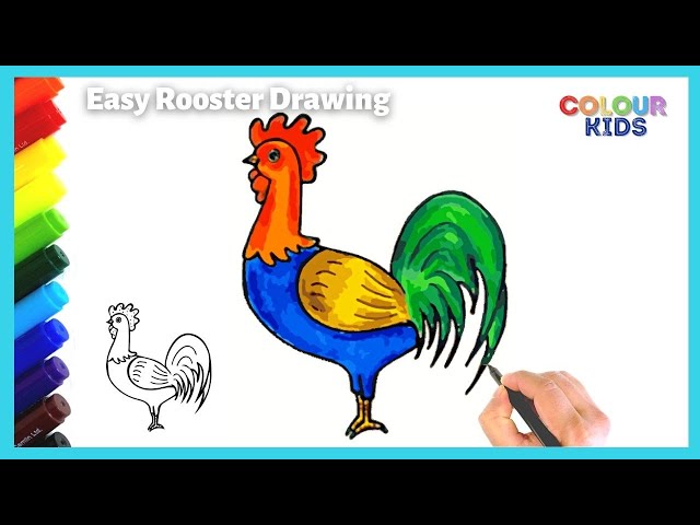 Easy rooster drawing and coloring step by step how to draw a colorful bird rooster in easy steps