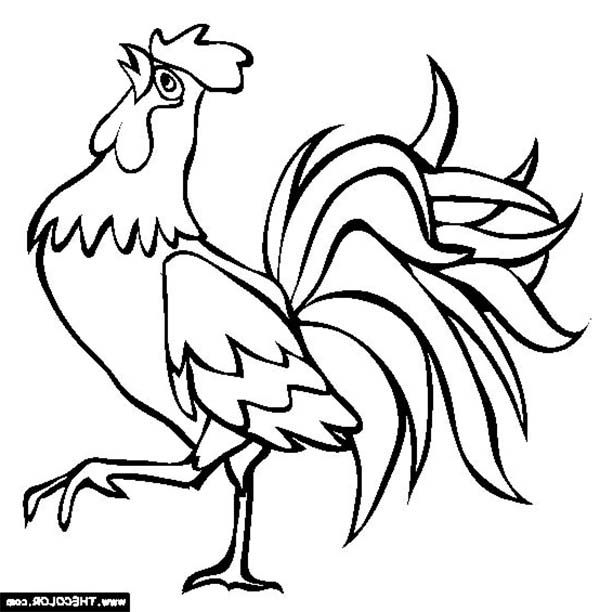 Farm animal rooster crowing in farm animal coloring page farm animal coloring pages animal coloring pages animal outline