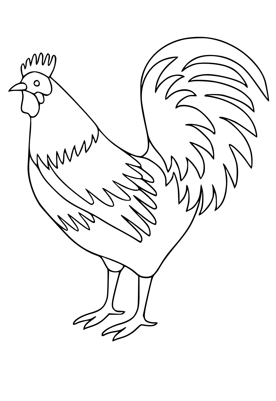 Free printable chicken rooster coloring page for adults and kids