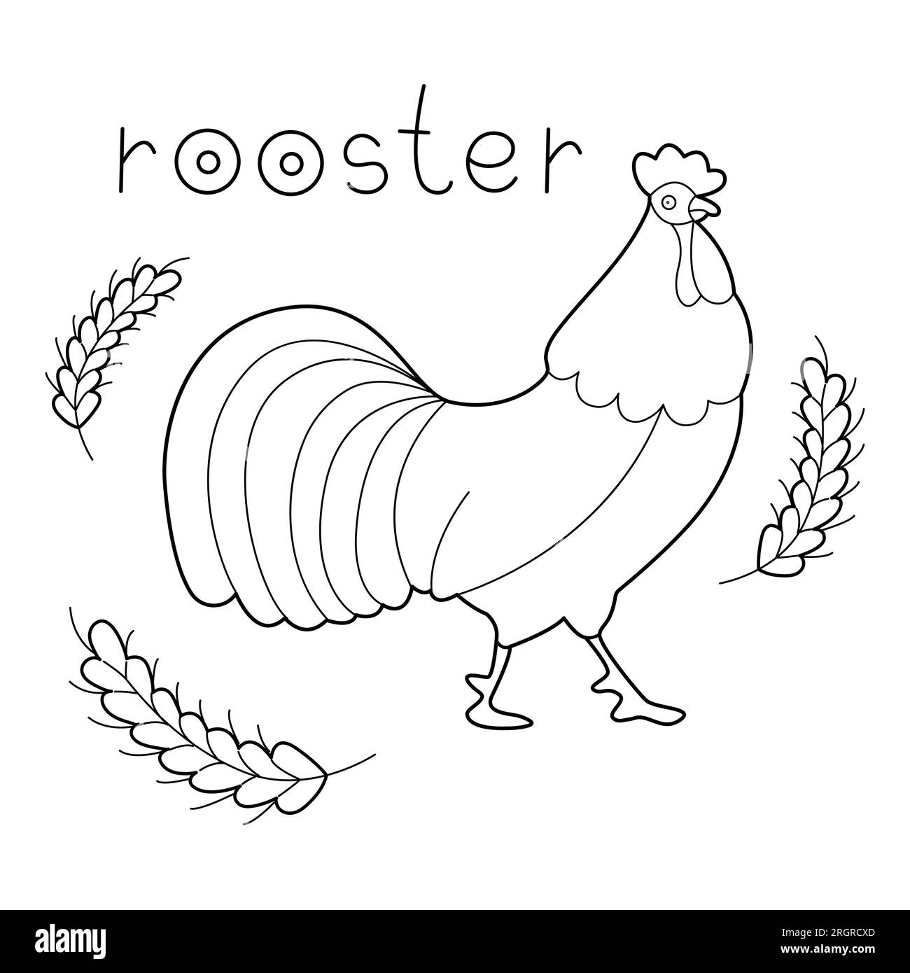 Rooster child drawing hi