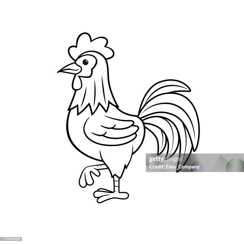 Vector illustration of rooster isolated on white background for kids coloring book high