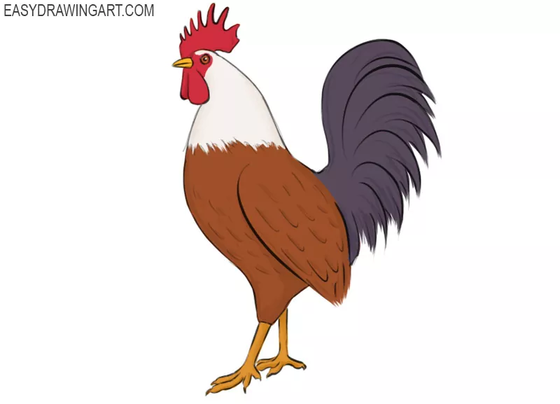 How to draw a rooster