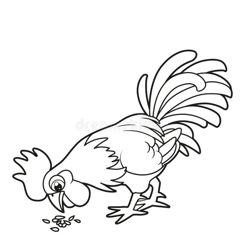 Cute cartoon rooster pecks grain from the ground outlined for coloring book on white stock vector