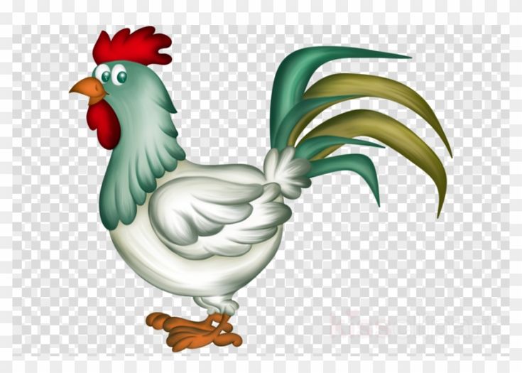 Rooster chicken drawing transparent png image clipart