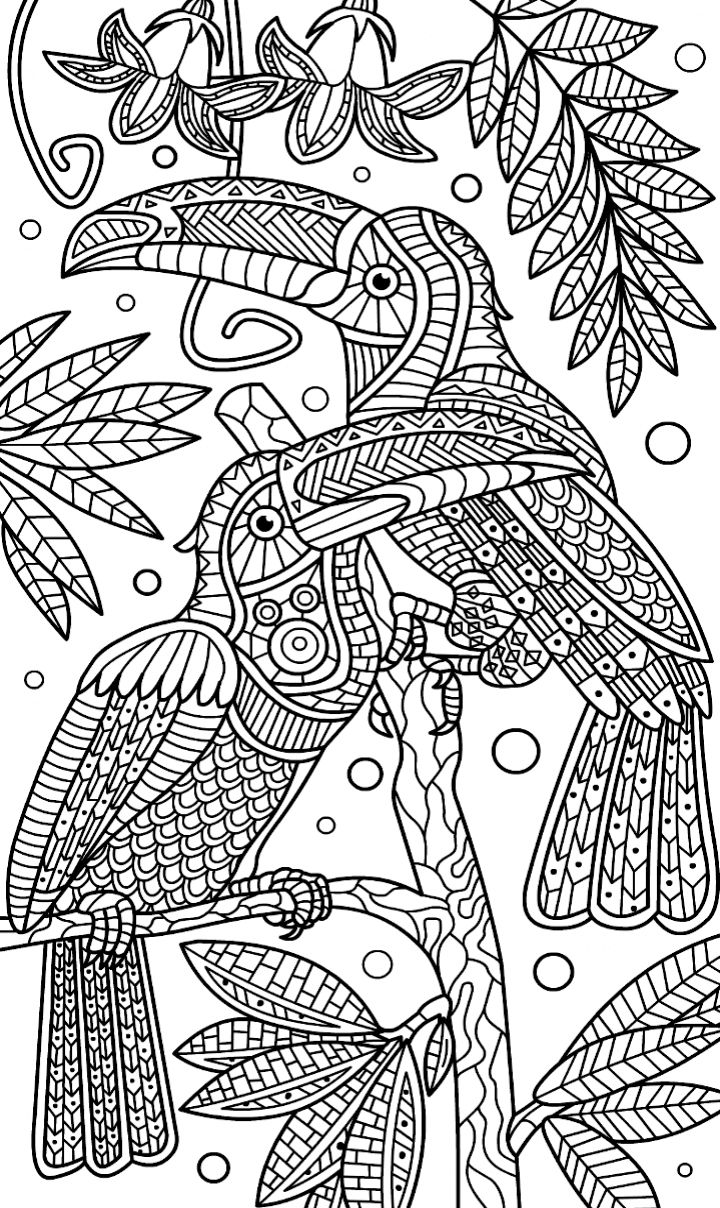 Pin by barbara on coloring parrot animal coloring pages adult coloring pages coloring pages