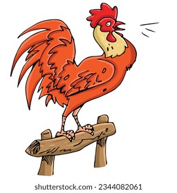 Rooster illustration ic images stock photos d objects vectors