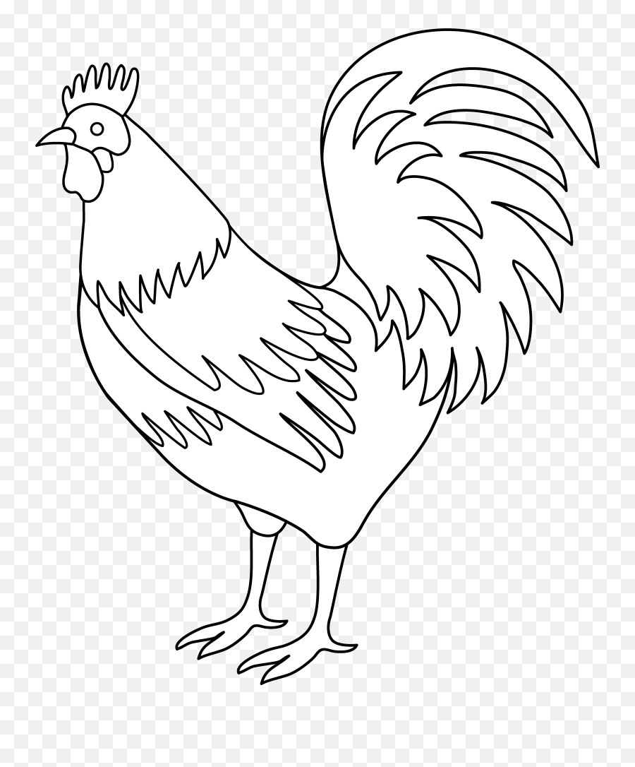 Rooster coloring page free clip art