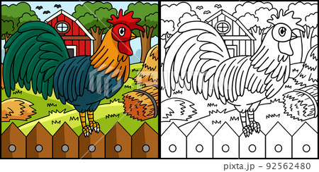 Rooster coloring page colored illustration