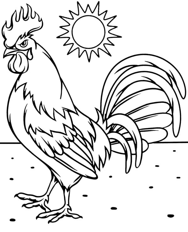 A rooster coloring page