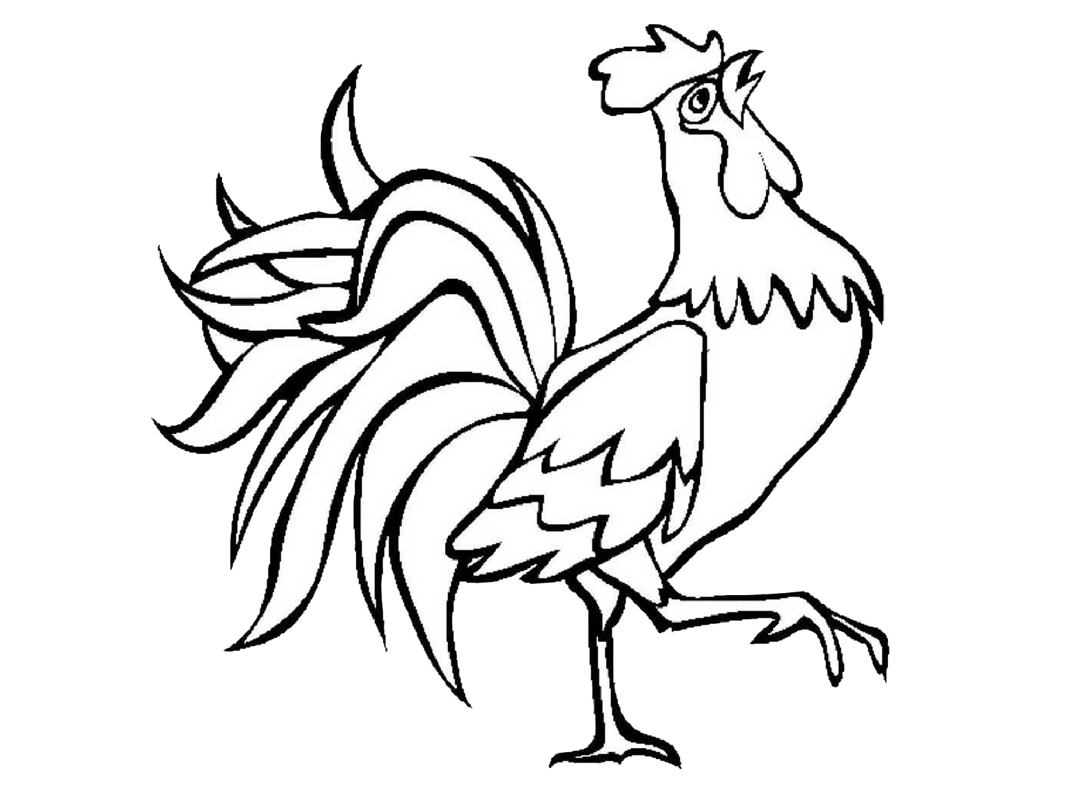 Rooster coloring pages for kids animals birds coloring