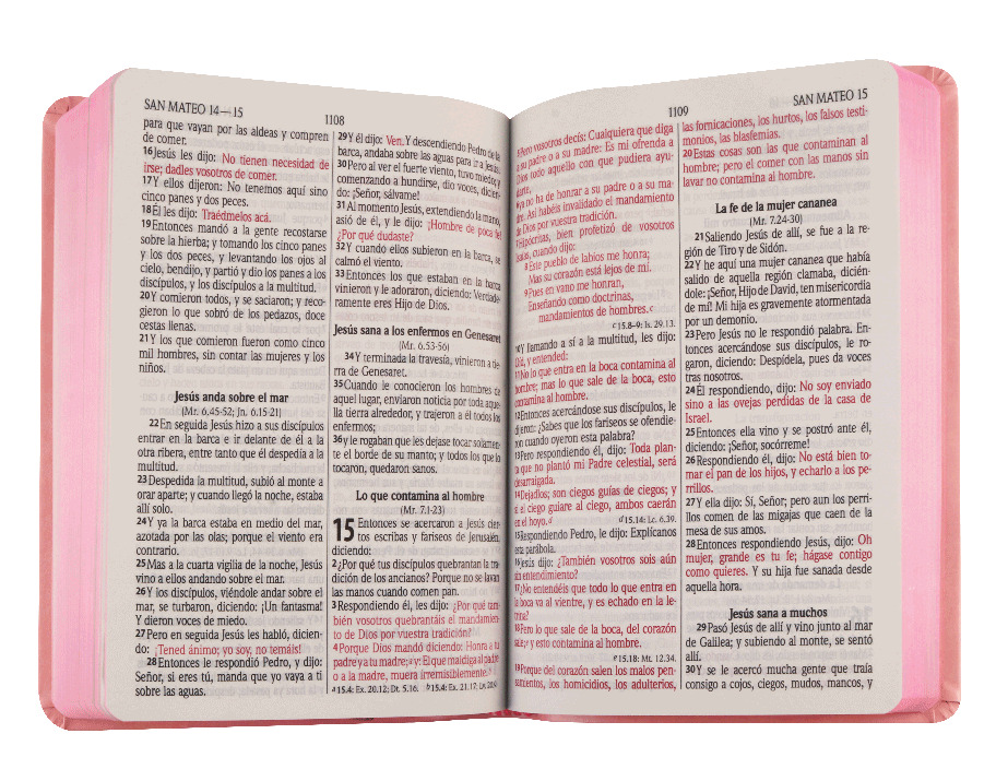 Biblia de letra grande color rosa reina valera imitaciãn piel nueva