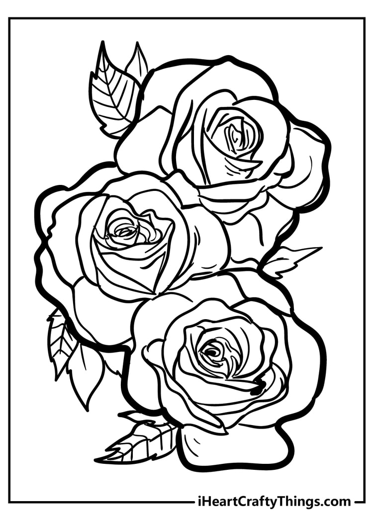 Rose coloring pages free printables