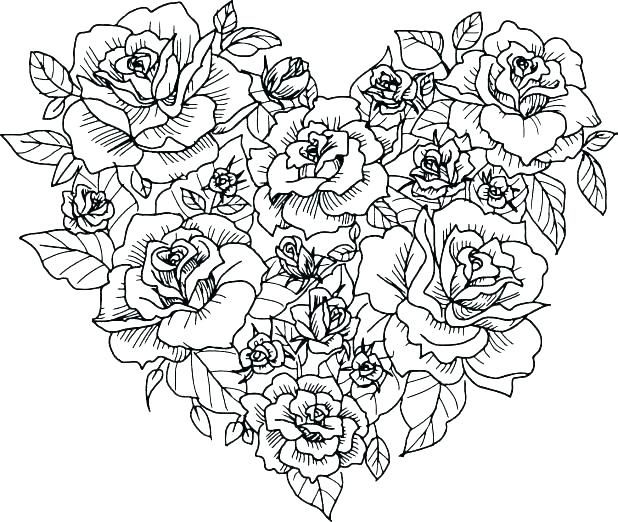 Printable rose coloring pages pdf for everyone