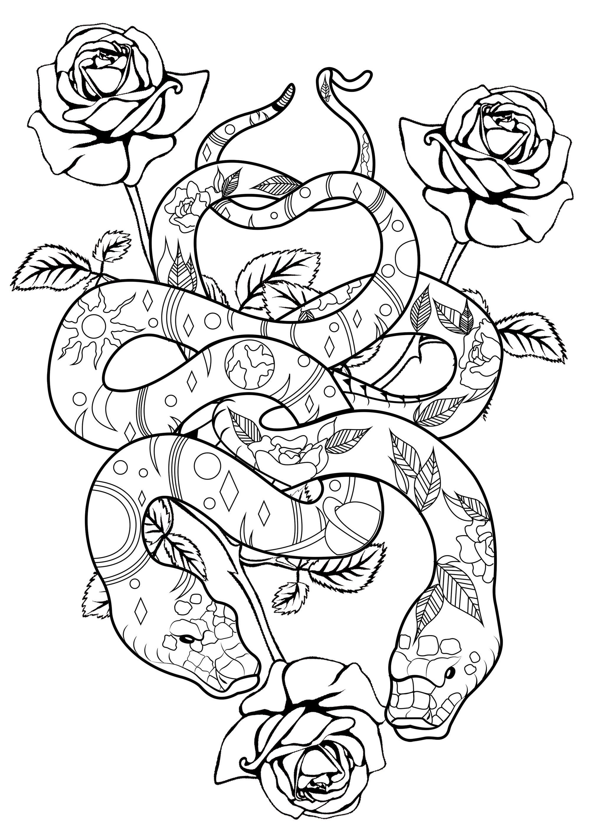 Snakes roses