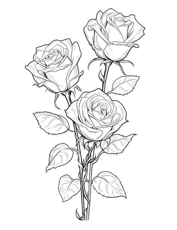 Beautiful rose coloring pages for kids and adults