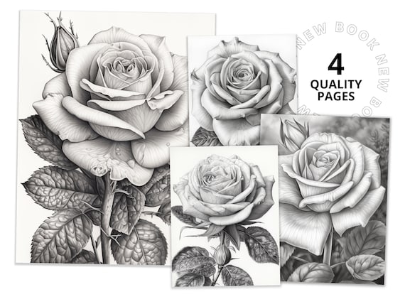 Breathtaking roses coloring book printable coloring page for adult coloring book digital download grayscale coloring page